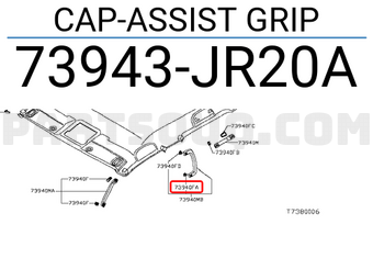 Nissan 73943JR20A CAP-ASSIST GRIP