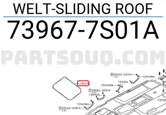 Nissan 739677S01A WELT-SLIDING ROOF