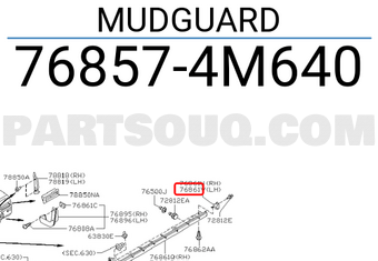 Nissan 768574M640 MUDGUARD