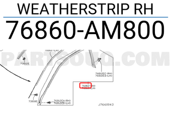Nissan 76860AM800 WEATHERSTRIP RH