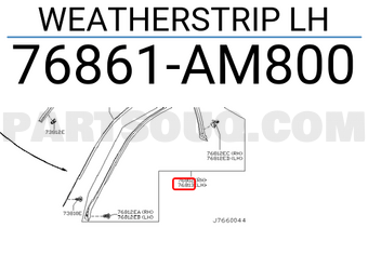 Nissan 76861AM800 WEATHERSTRIP LH