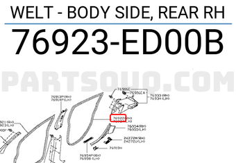 Nissan 76923ED00B WELT - BODY SIDE, REAR RH