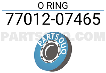 Nissan 7701207465 O RING