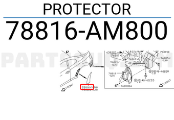 Nissan 78816AM800 PROTECTOR