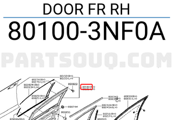 Nissan 801003NF0A DOOR FR RH