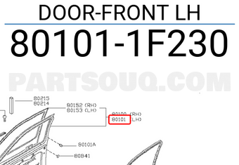 Nissan 801011F230 DOOR-FRONT LH
