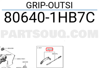 Nissan 806401HB7C GRIP-OUTSI