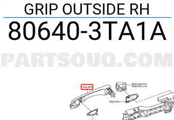 Nissan 806403TA1A GRIP OUTSIDE RH