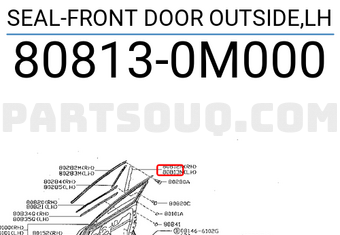 Nissan 808130M000 SEAL-FRONT DOOR OUTSIDE,LH