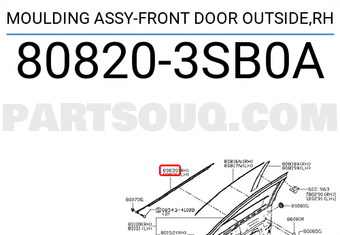 Nissan 808203SB0A MOULDING ASSY-FRONT DOOR OUTSIDE,RH
