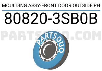 Nissan 808203SB0B MOULDING ASSY-FRONT DOOR OUTSIDE,RH