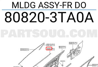Nissan 808203TA0A MLDG ASSY-FR DO