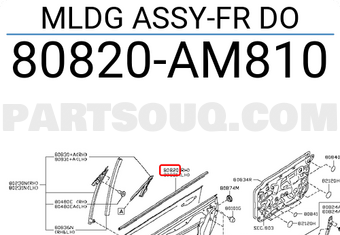 Nissan 80820AM810 MLDG ASSY-FR DO