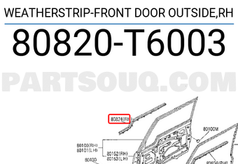 Nissan 80820T6003 WEATHERSTRIP-FRONT DOOR OUTSIDE,RH