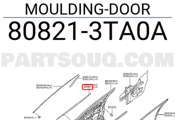 Nissan 808213TA0A MOULDING-DOOR