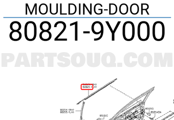 Nissan 808219Y000 MOULDING-DOOR