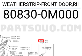 Nissan 808300M000 WEATHERSTRIP-FRONT DOOR,RH