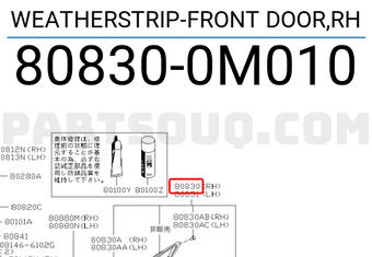 Nissan 808300M010 WEATHERSTRIP-FRONT DOOR,RH
