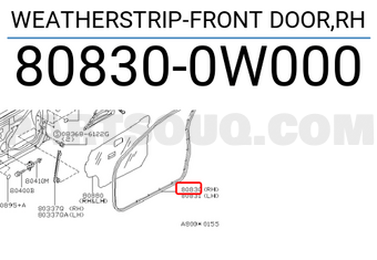 Nissan 808300W000 WEATHERSTRIP-FRONT DOOR,RH