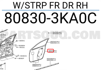Nissan 808303KA0C W/STRP FR DR RH