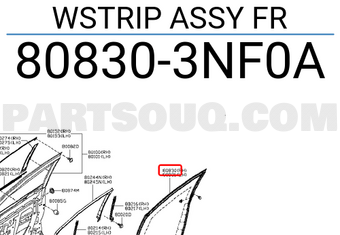 Nissan 808303NF0A WSTRIP ASSY FR