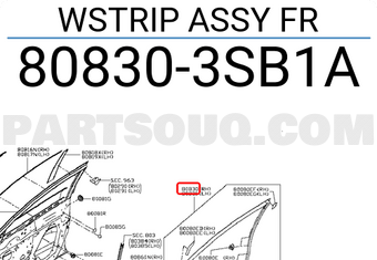 Nissan 808303SB1A WSTRIP ASSY FR
