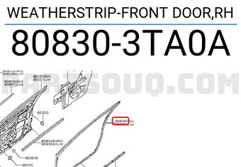 Nissan 808303TA0A WEATHERSTRIP-FRONT DOOR,RH