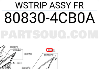 Nissan 808304CB0A WSTRIP ASSY FR