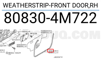 Nissan 808304M722 WEATHERSTRIP-FRONT DOOR,RH