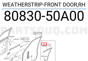 Nissan 8083050A00 WEATHERSTRIP-FRONT DOOR,RH