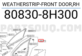 Nissan 808308H300 WEATHERSTRIP-FRONT DOOR,RH