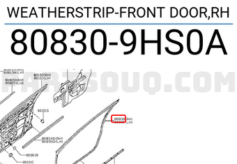 Nissan 808309HS0A WEATHERSTRIP-FRONT DOOR,RH