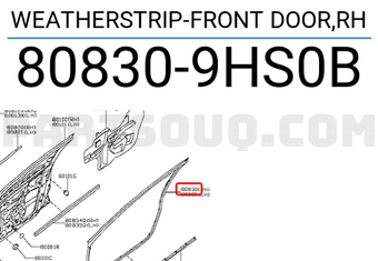 Nissan 808309HS0B WEATHERSTRIP-FRONT DOOR,RH