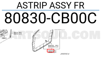 Nissan 80830CB00C ASTRIP ASSY FR