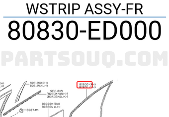 Nissan 80830ED000 WSTRIP ASSY-FR