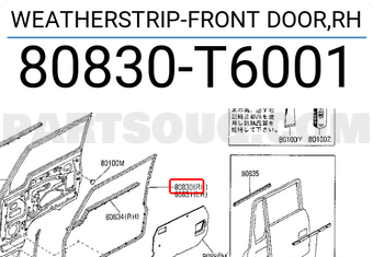 Nissan 80830T6001 WEATHERSTRIP-FRONT DOOR,RH