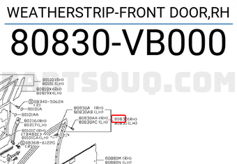 Nissan 80830VB000 WEATHERSTRIP-FRONT DOOR,RH