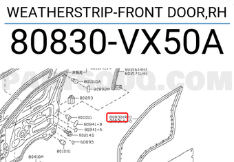 Nissan 80830VX50A WEATHERSTRIP-FRONT DOOR,RH