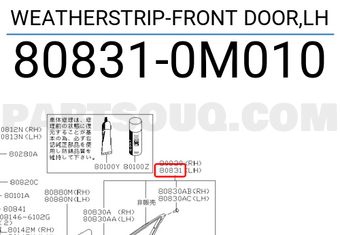 Nissan 808310M010 WEATHERSTRIP-FRONT DOOR,LH