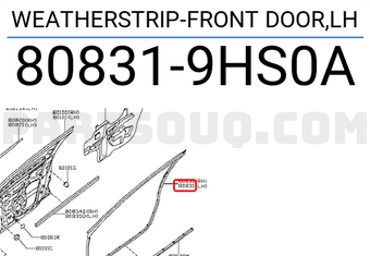 Nissan 808319HS0A WEATHERSTRIP-FRONT DOOR,LH