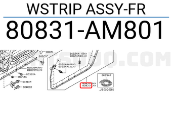 Nissan 80831AM801 WSTRIP ASSY-FR