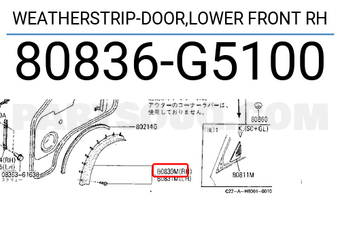 Nissan 80836G5100 WEATHERSTRIP-DOOR,LOWER FRONT RH