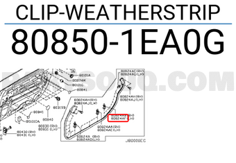Nissan 808501EA0G CLIP-WEATHERSTRIP
