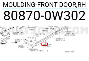 Nissan 808700W302 MOULDING-FRONT DOOR,RH