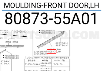 Nissan 8087355A01 MOULDING-FRONT DOOR,LH