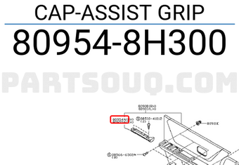 Nissan 809548H300 CAP-ASSIST GRIP
