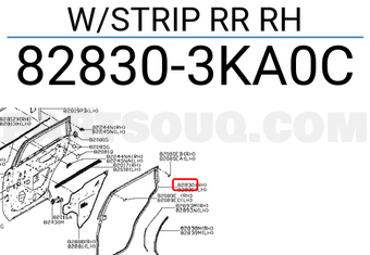 Nissan 828303KA0C W/STRIP RR RH