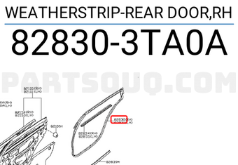 Nissan 828303TA0A WEATHERSTRIP-REAR DOOR,RH