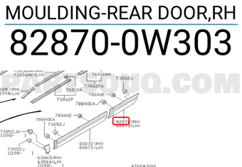 Nissan 828700W303 MOULDING-REAR DOOR,RH
