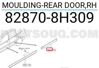 Nissan 828708H309 MOULDING-REAR DOOR,RH